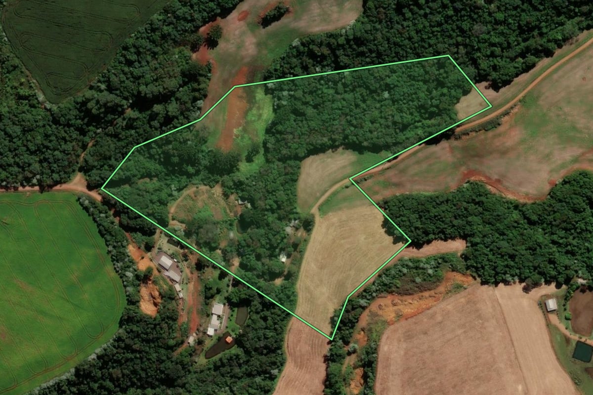 Imagem de satélite do imóvel rural em Renascença (PR), com o contorno declarado no CAR desenhado por cima.