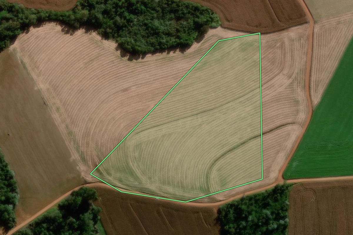 Imagem de satélite do imóvel rural em Renascença (PR), com o contorno declarado no CAR desenhado por cima.
