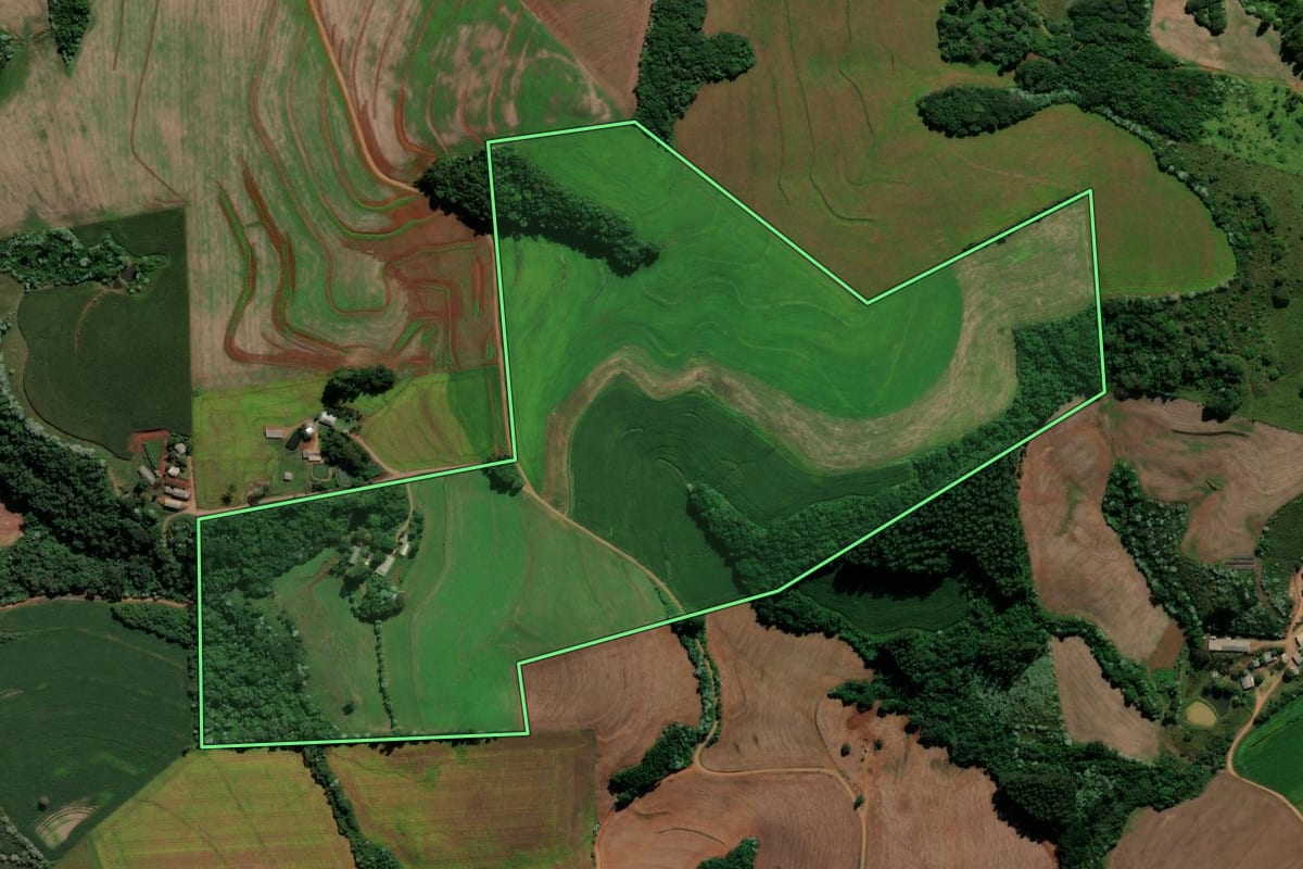 Imagem de satélite do imóvel rural em Renascença (PR), com o contorno declarado no CAR desenhado por cima.