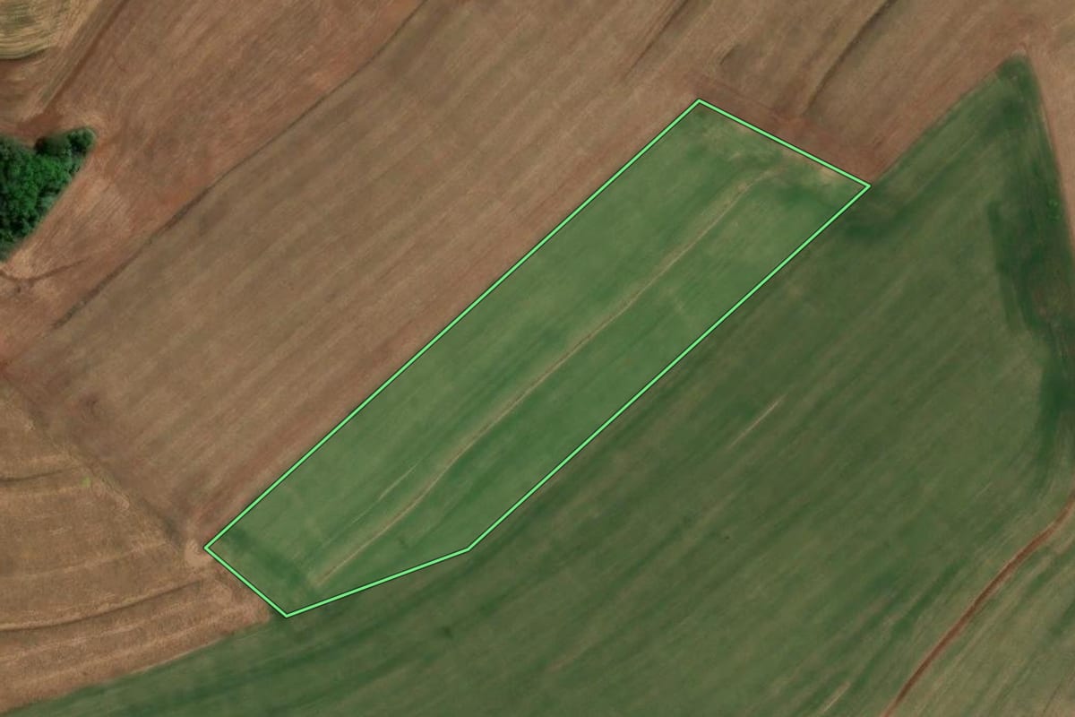 Imagem de satélite do imóvel rural em Renascença (PR), com o contorno declarado no CAR desenhado por cima.
