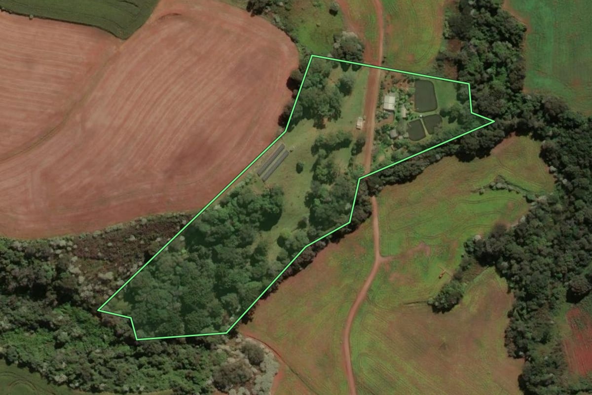 Imagem de satélite do imóvel rural em Renascença (PR), com o contorno declarado no CAR desenhado por cima.