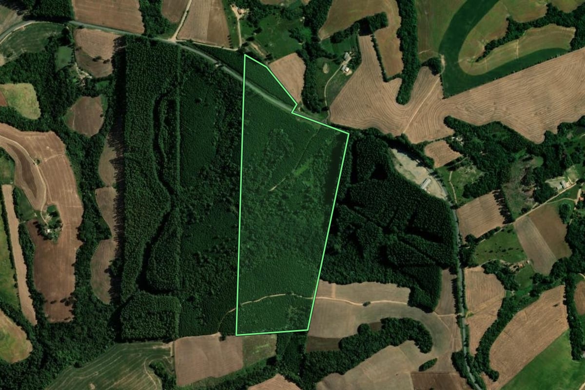Imagem de satélite do imóvel rural em Reserva (PR), com o contorno declarado no CAR desenhado por cima.