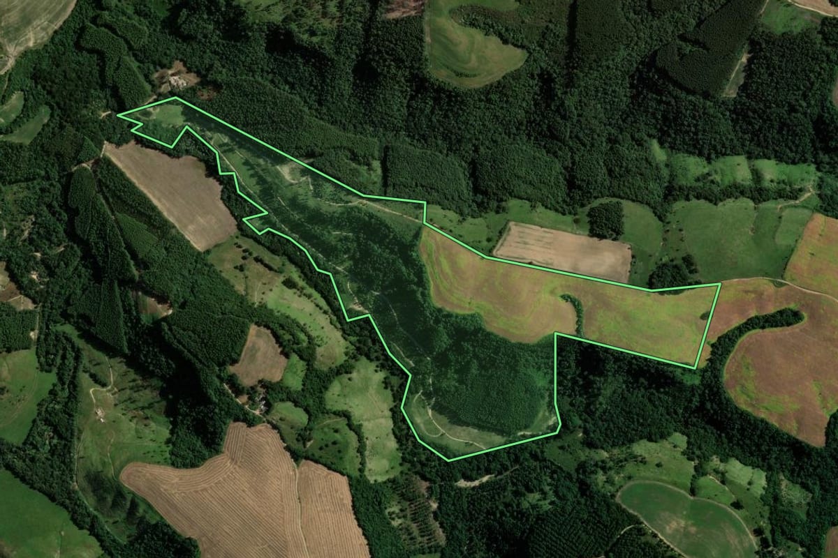 Imagem de satélite do imóvel rural em Reserva (PR), com o contorno declarado no CAR desenhado por cima.