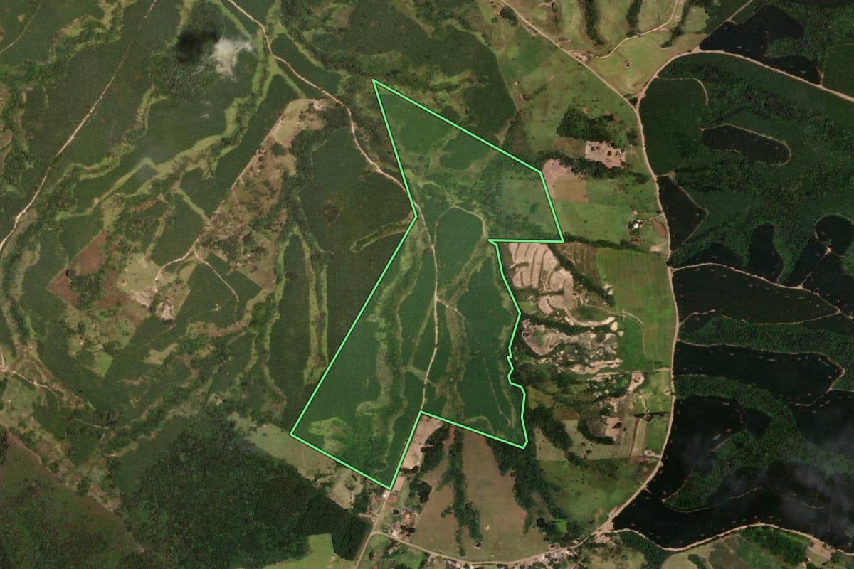 Imagem de satélite do imóvel rural em Reserva (PR), com o contorno declarado no CAR desenhado por cima.