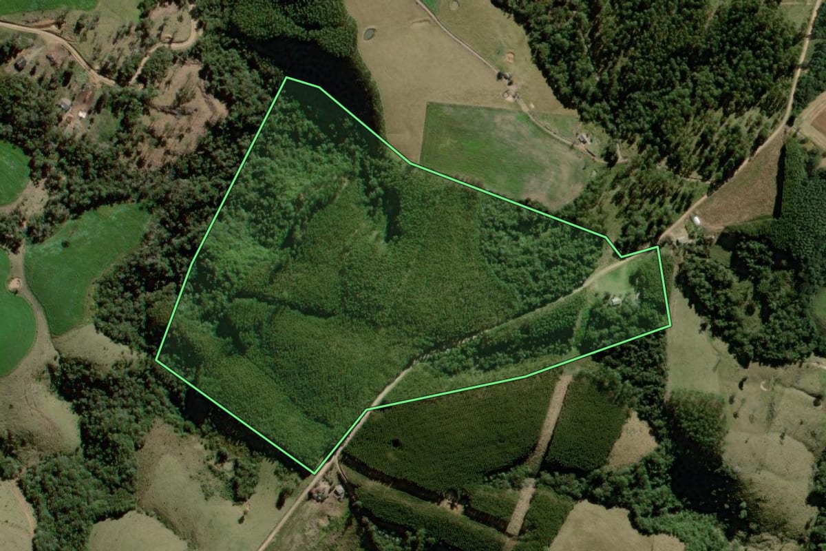 Imagem de satélite do imóvel rural em Reserva (PR), com o contorno declarado no CAR desenhado por cima.