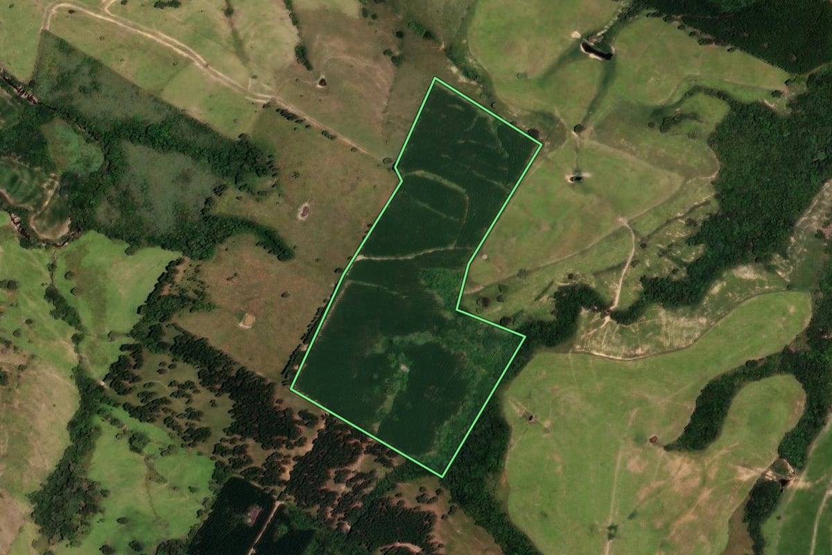 Imagem de satélite do imóvel rural em Reserva (PR), com o contorno declarado no CAR desenhado por cima.