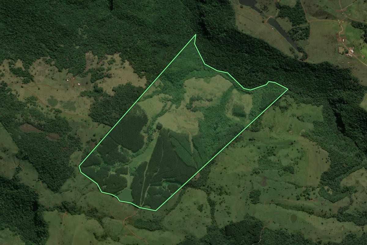 Imagem de satélite do imóvel rural em Reserva (PR), com o contorno declarado no CAR desenhado por cima.