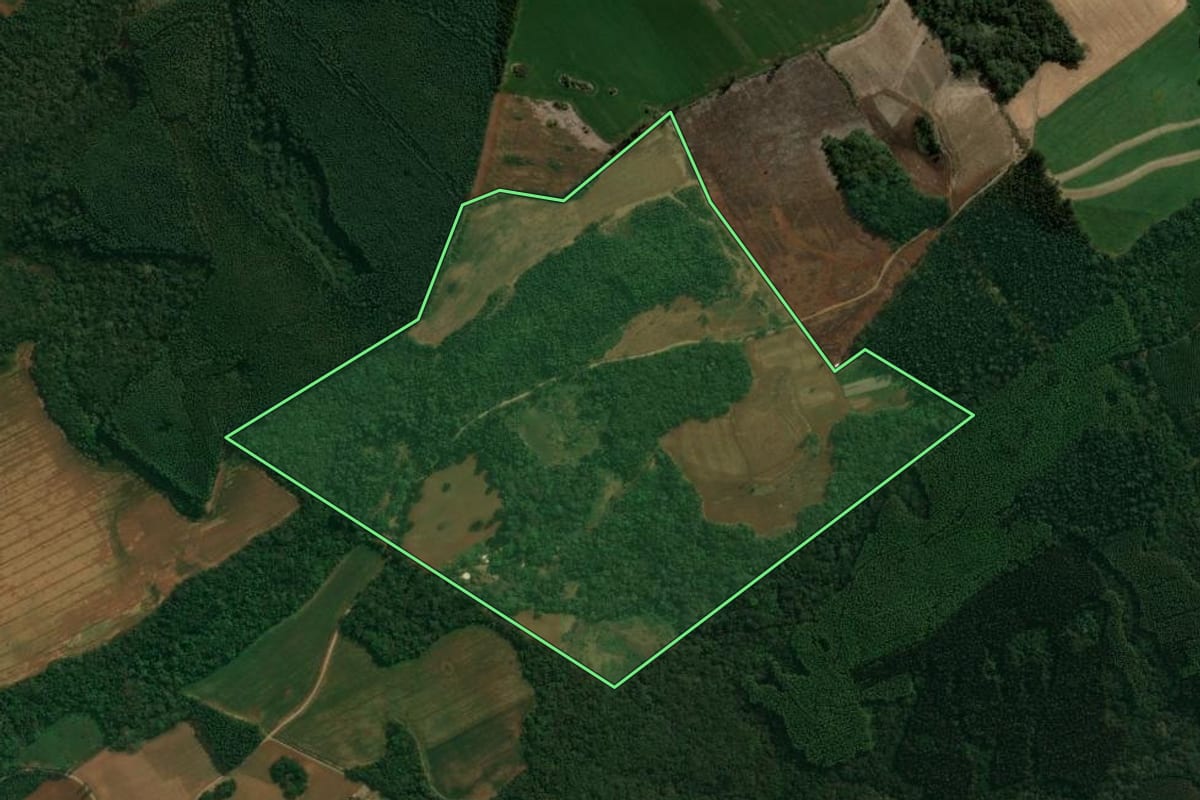 Imagem de satélite do imóvel rural em Reserva (PR), com o contorno declarado no CAR desenhado por cima.