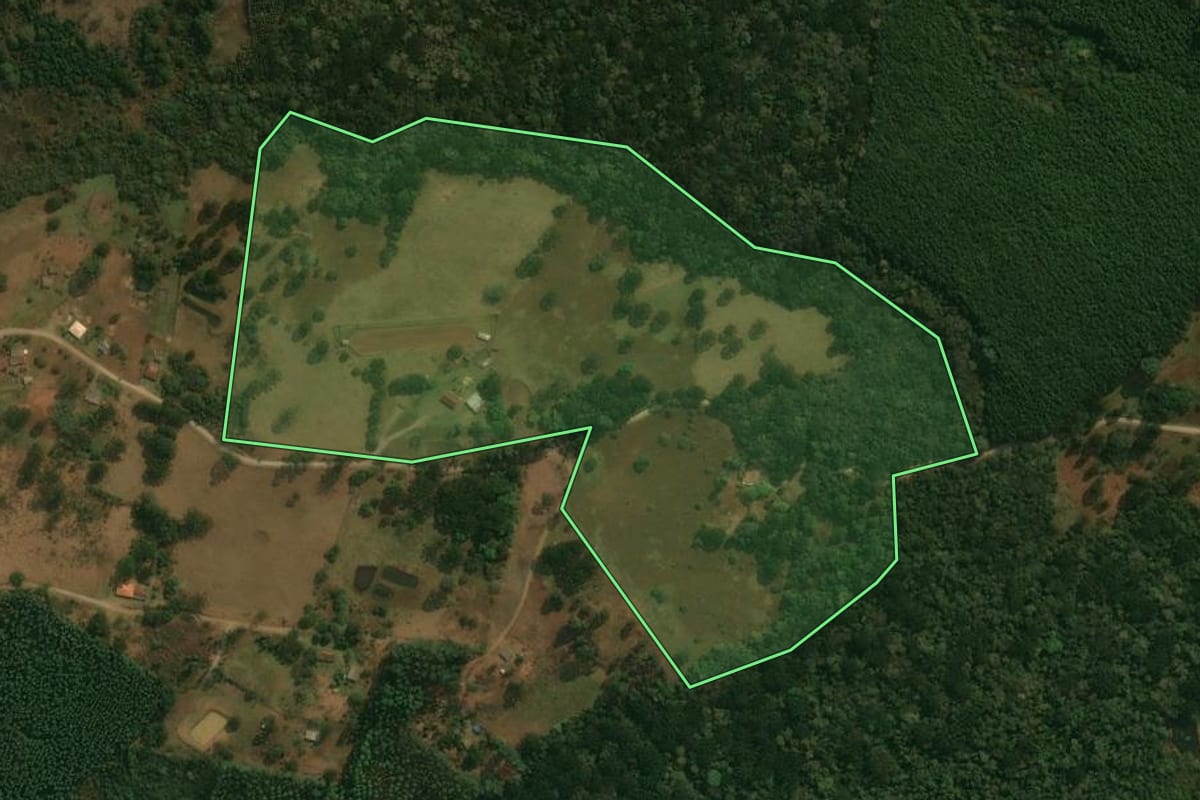 Imagem de satélite do imóvel rural em Reserva (PR), com o contorno declarado no CAR desenhado por cima.