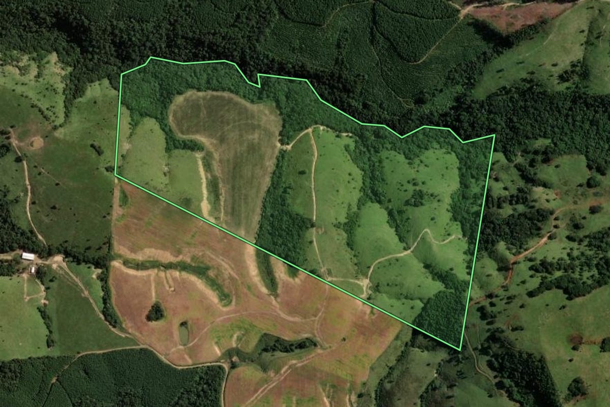 Imagem de satélite do imóvel rural em Reserva (PR), com o contorno declarado no CAR desenhado por cima.