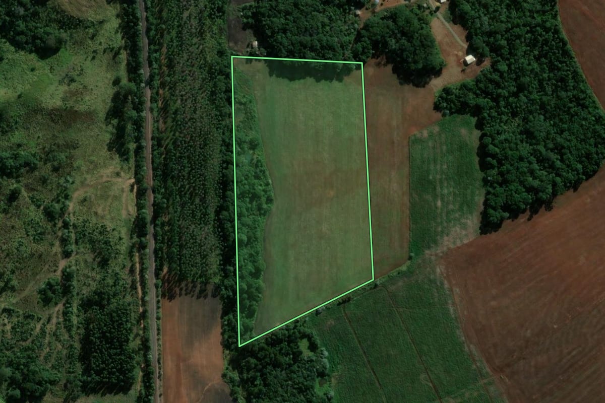 Imagem de satélite do imóvel rural em Reserva (PR), com o contorno declarado no CAR desenhado por cima.