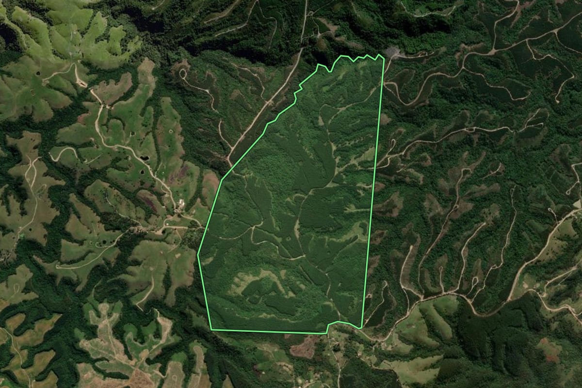 Imagem de satélite do imóvel rural em Reserva (PR), com o contorno declarado no CAR desenhado por cima.