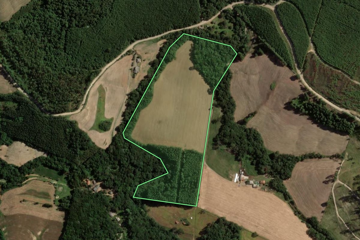 Imagem de satélite do imóvel rural em Reserva (PR), com o contorno declarado no CAR desenhado por cima.