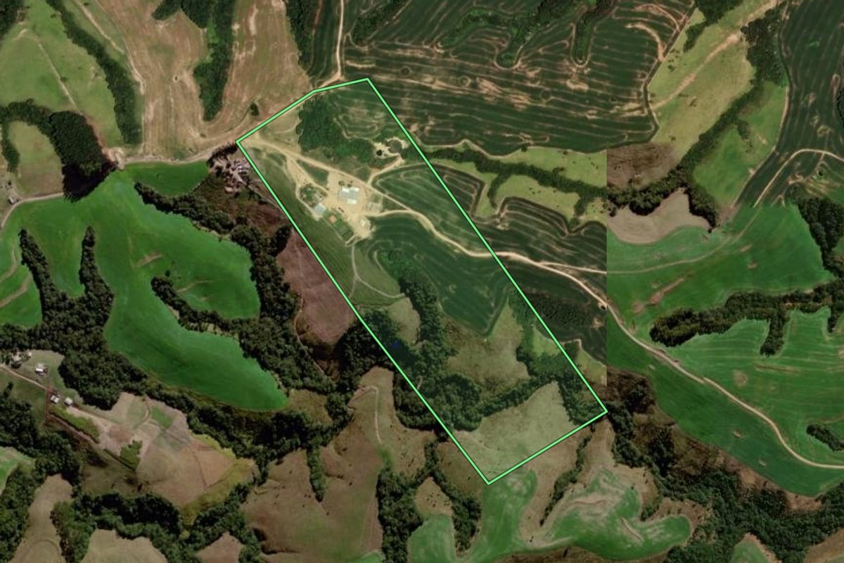 Imagem de satélite do imóvel rural em Reserva (PR), com o contorno declarado no CAR desenhado por cima.