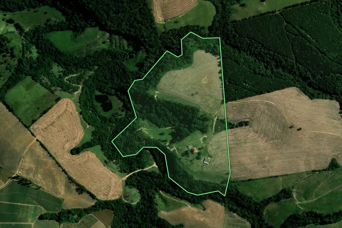 Imagem de satélite do imóvel rural em Reserva (PR), com o contorno declarado no CAR desenhado por cima.