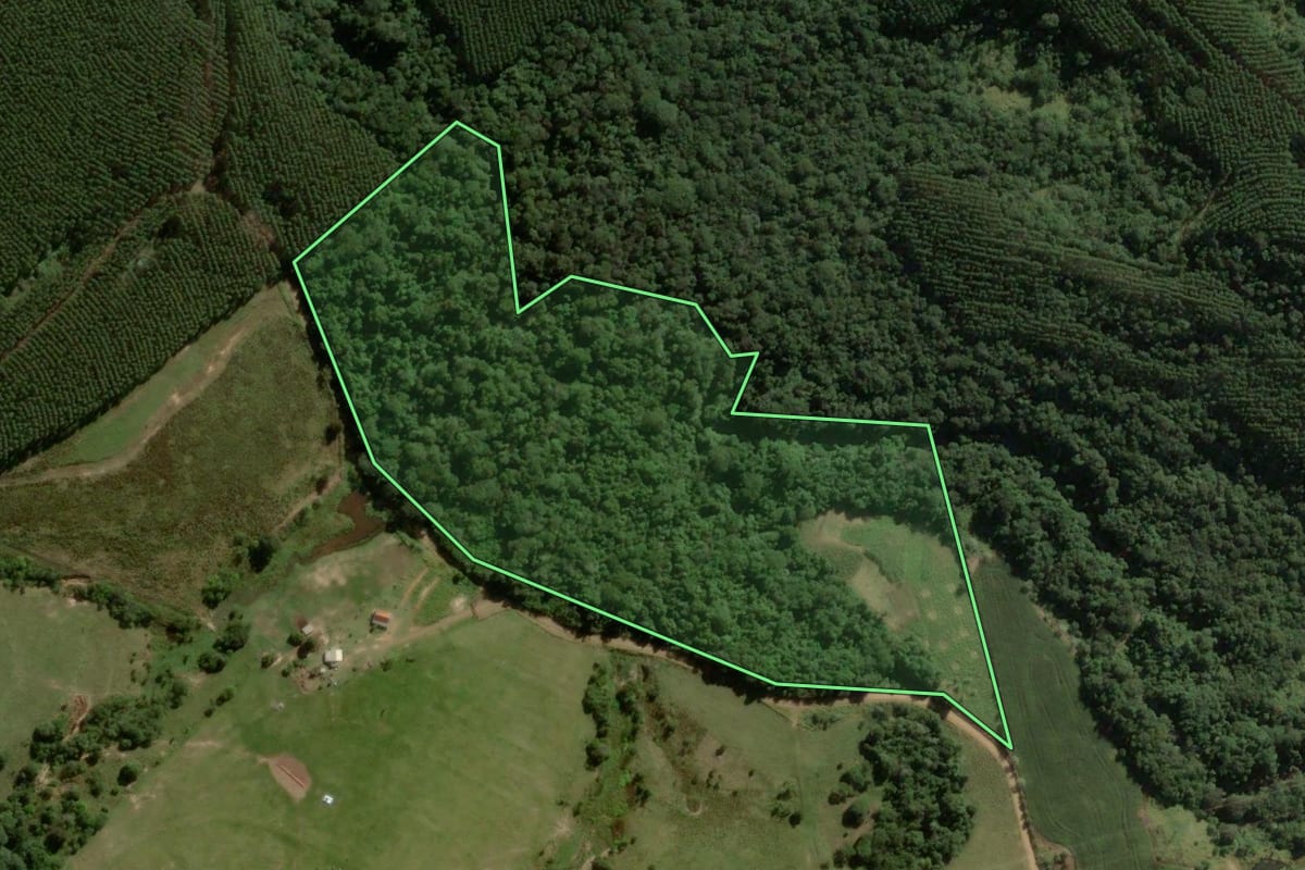 Imagem de satélite do imóvel rural em Reserva (PR), com o contorno declarado no CAR desenhado por cima.