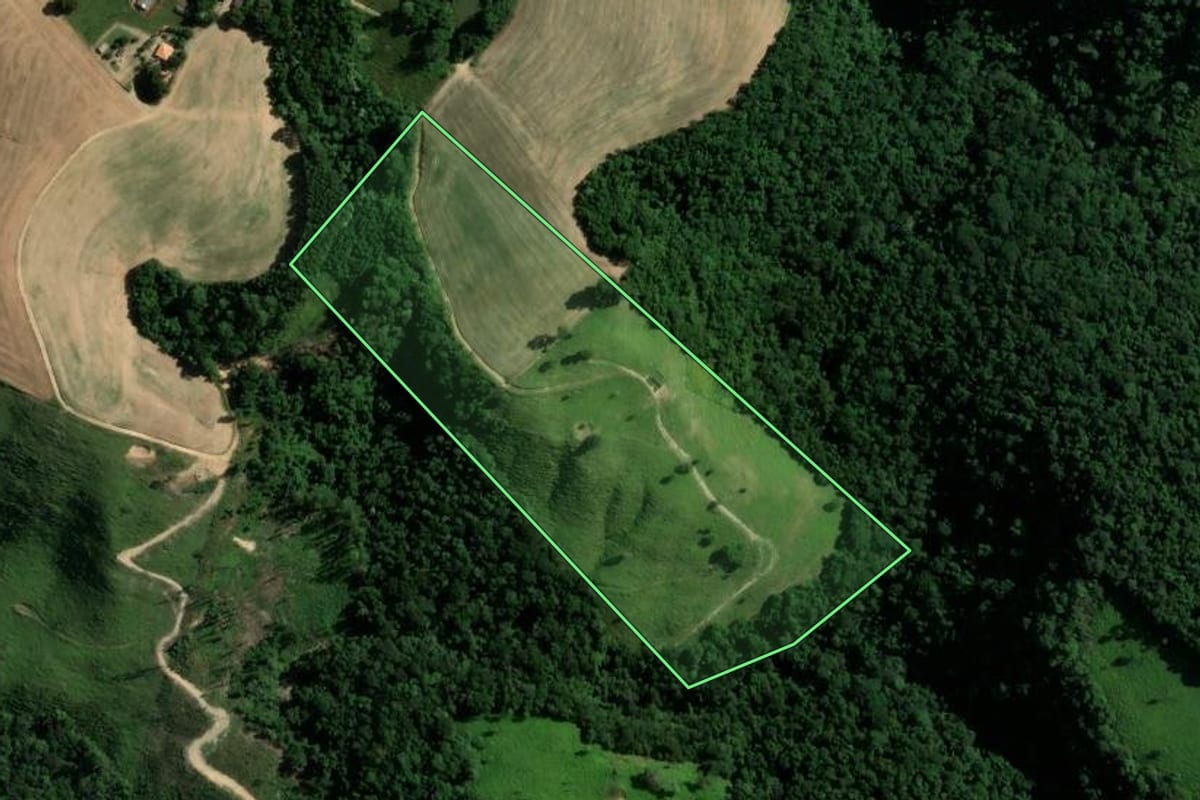 Imagem de satélite do imóvel rural em Reserva (PR), com o contorno declarado no CAR desenhado por cima.