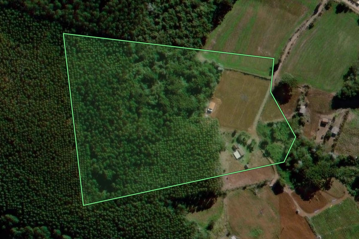Imagem de satélite do imóvel rural em Reserva (PR), com o contorno declarado no CAR desenhado por cima.