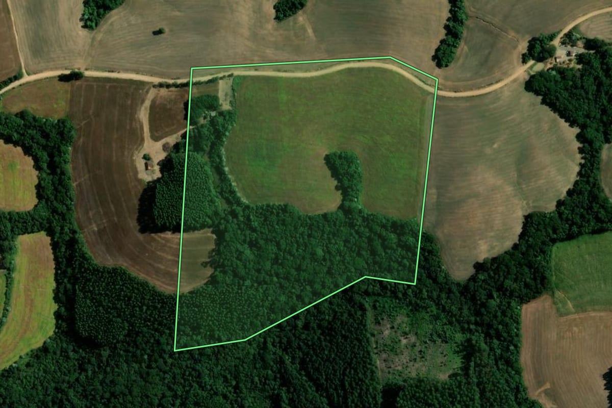 Imagem de satélite do imóvel rural em Reserva (PR), com o contorno declarado no CAR desenhado por cima.