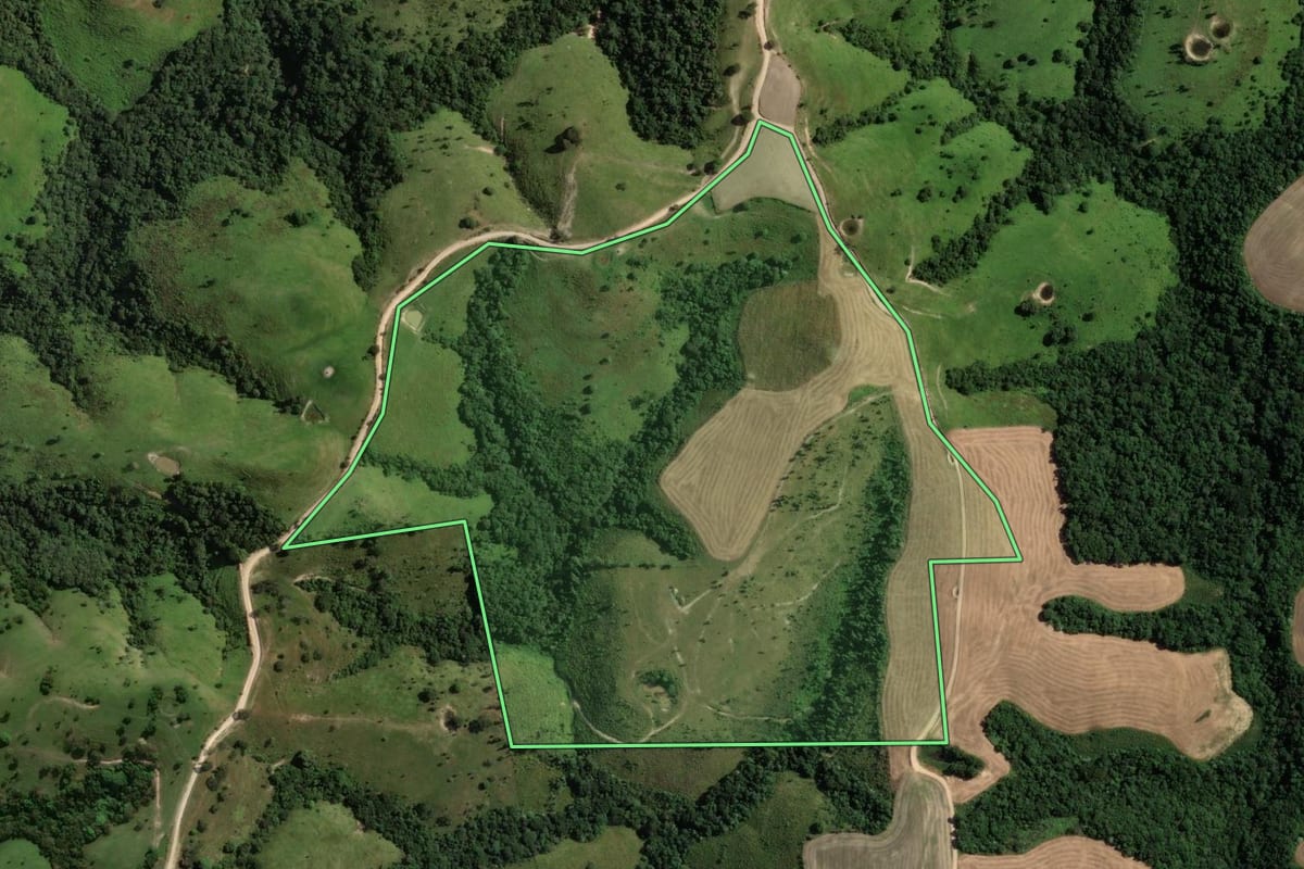 Imagem de satélite do imóvel rural em Reserva (PR), com o contorno declarado no CAR desenhado por cima.