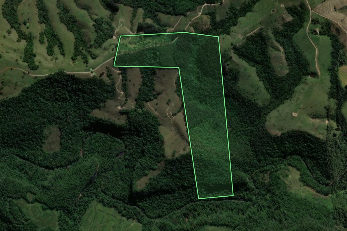 Imagem de satélite do imóvel rural em Reserva (PR), com o contorno declarado no CAR desenhado por cima.