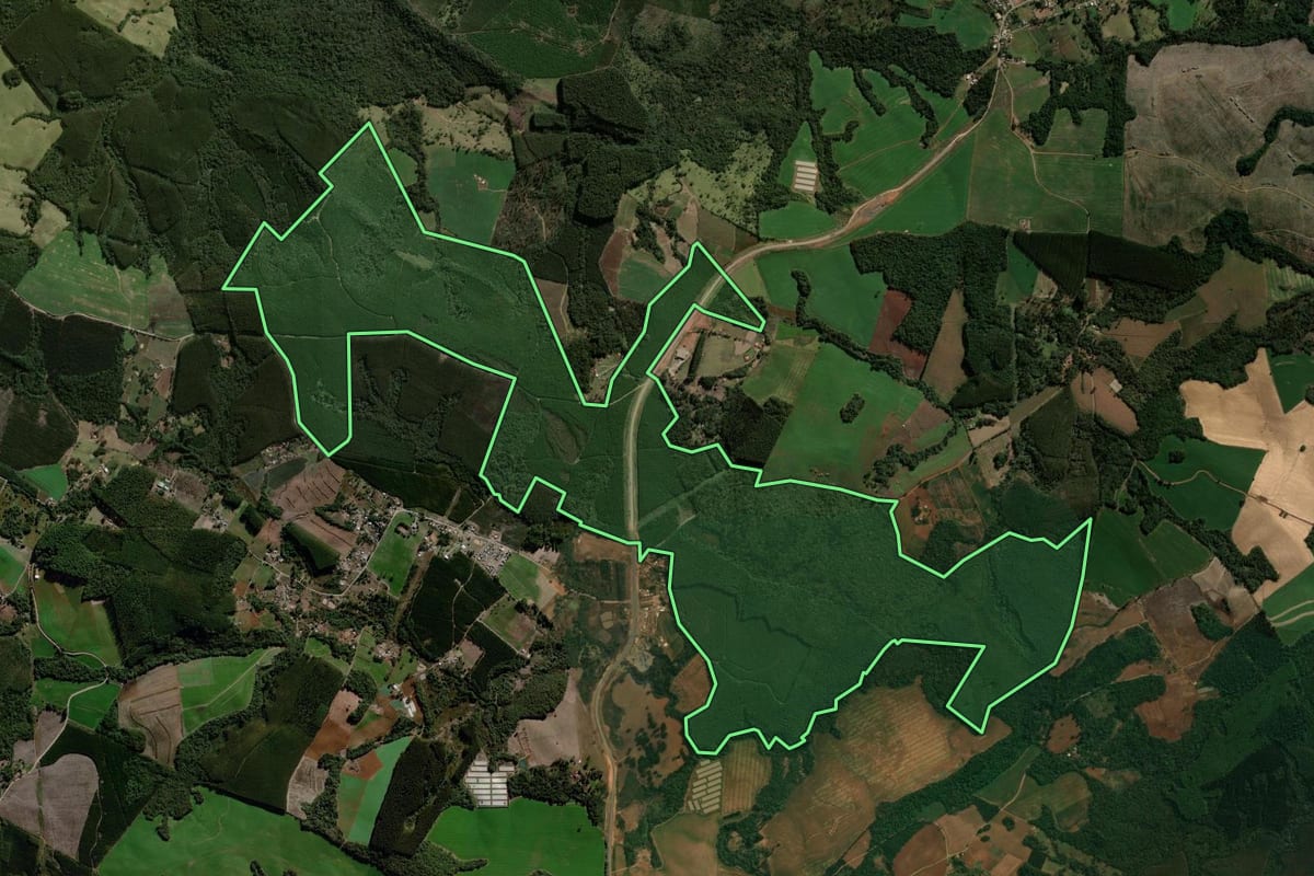 Imagem de satélite do imóvel rural em Reserva (PR), com o contorno declarado no CAR desenhado por cima.