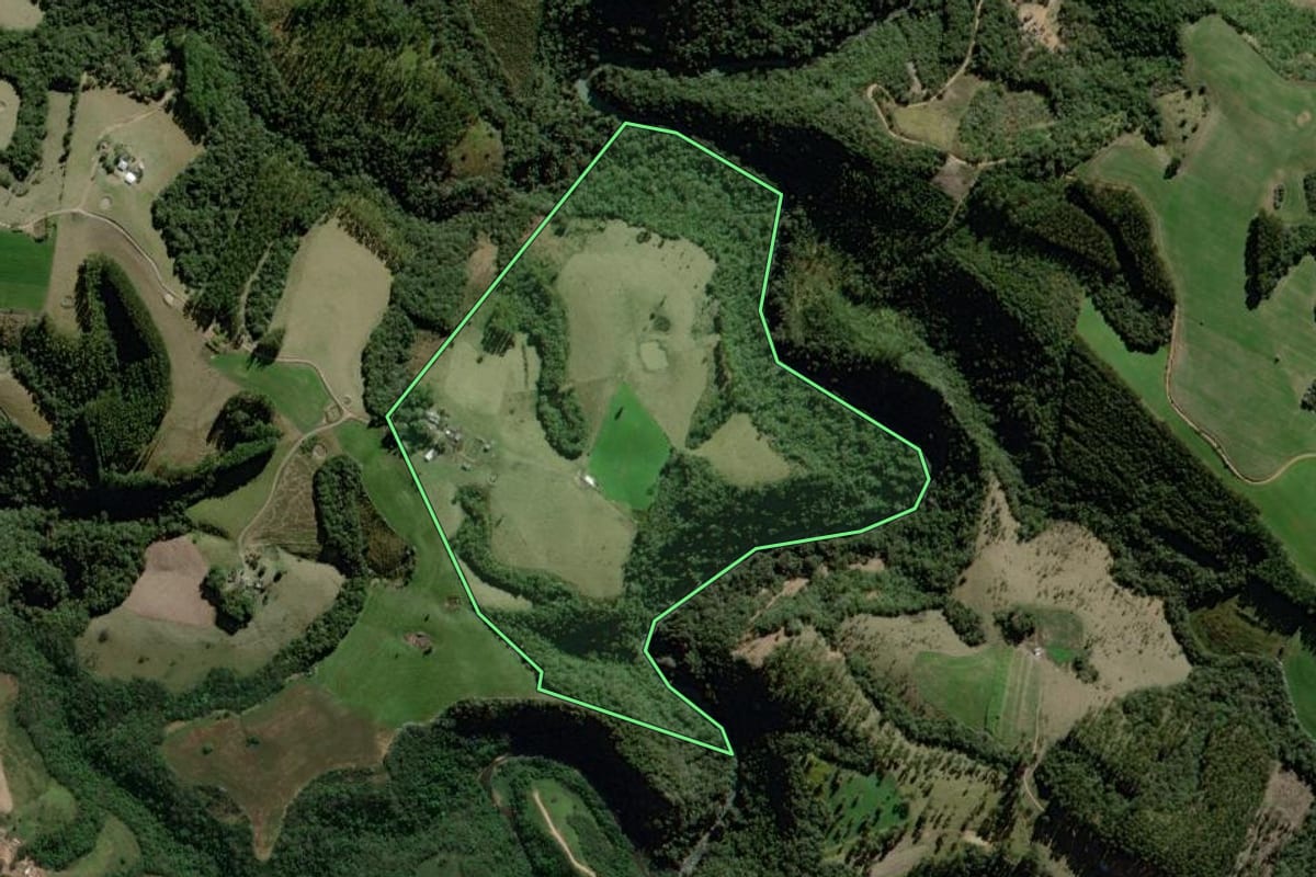 Imagem de satélite do imóvel rural em Reserva (PR), com o contorno declarado no CAR desenhado por cima.