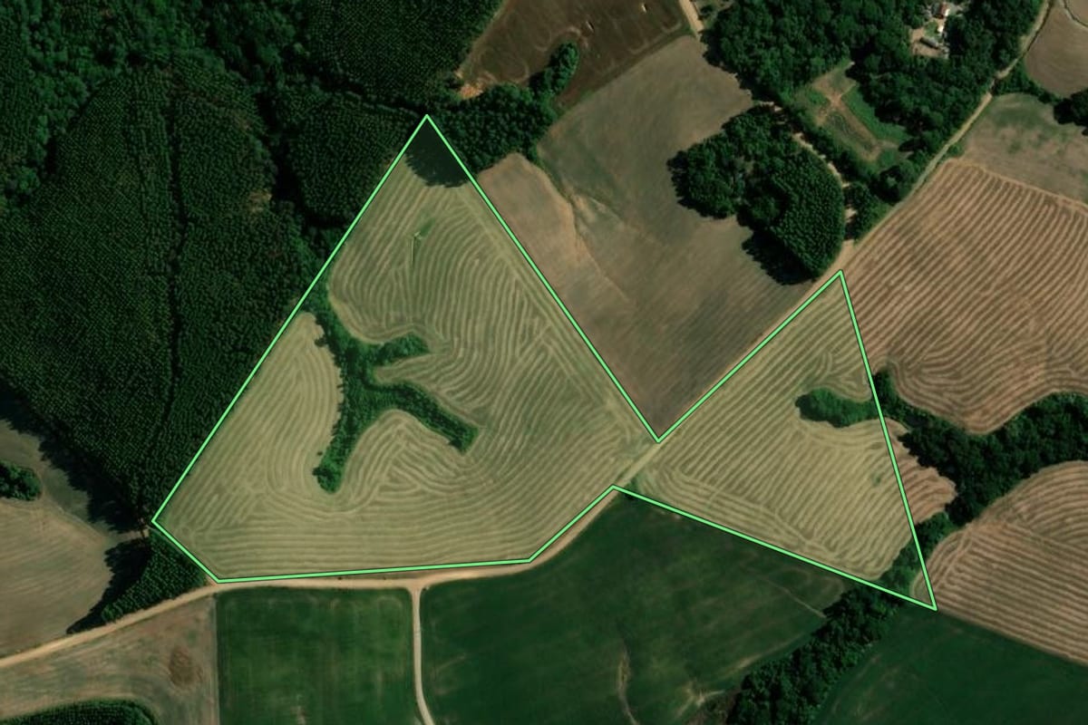 Imagem de satélite do imóvel rural em Reserva (PR), com o contorno declarado no CAR desenhado por cima.