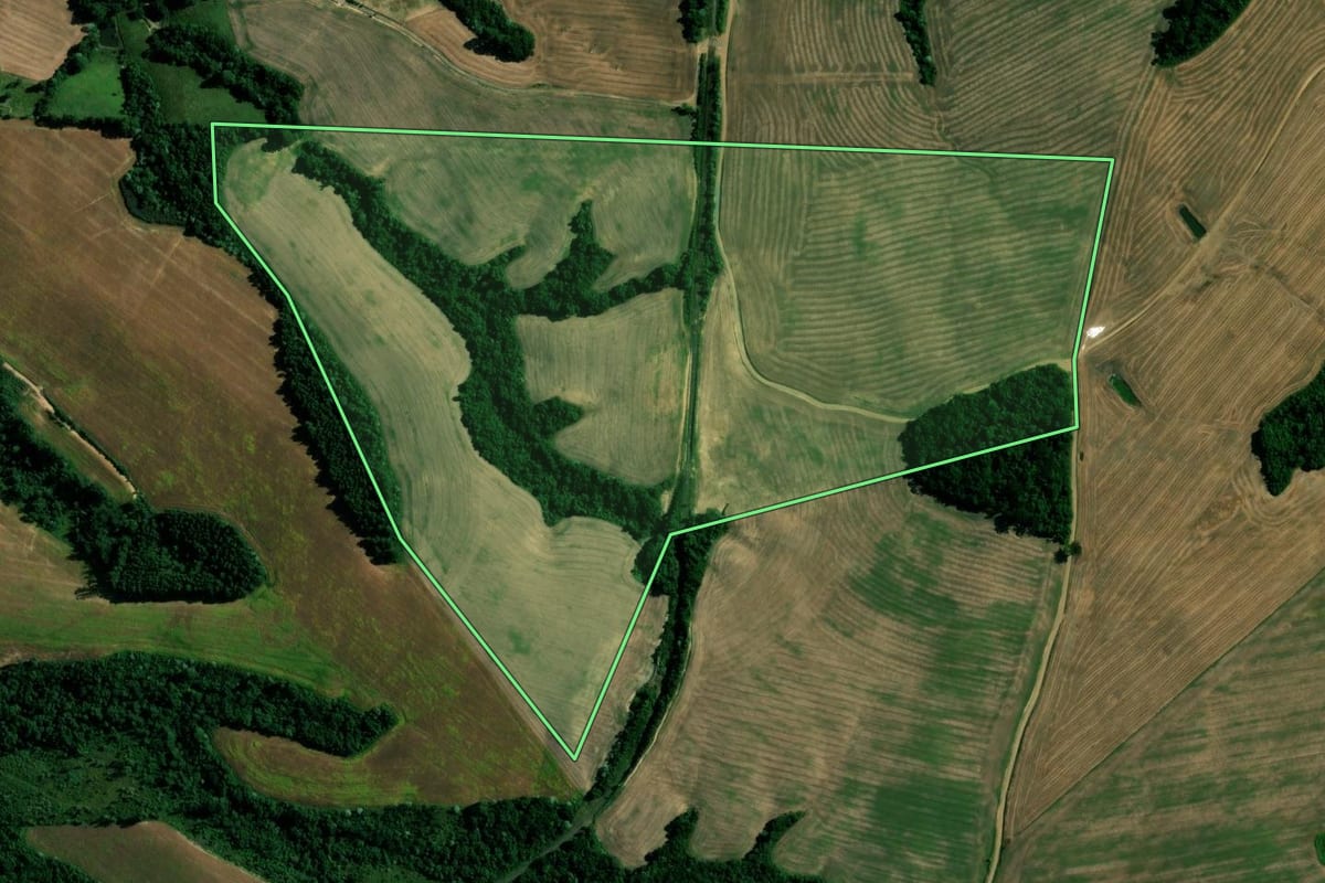Imagem de satélite do imóvel rural em Reserva (PR), com o contorno declarado no CAR desenhado por cima.