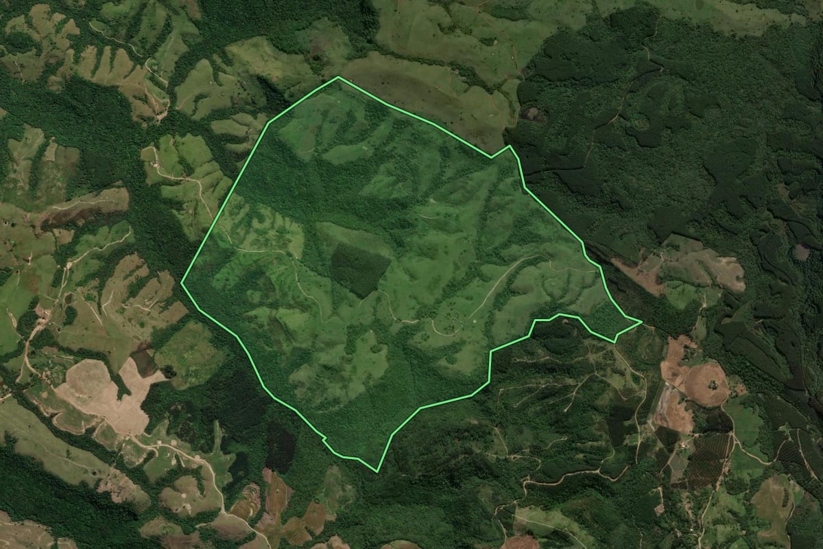 Imagem de satélite do imóvel rural em Reserva (PR), com o contorno declarado no CAR desenhado por cima.