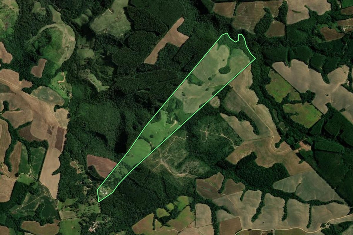 Imagem de satélite do imóvel rural em Reserva (PR), com o contorno declarado no CAR desenhado por cima.