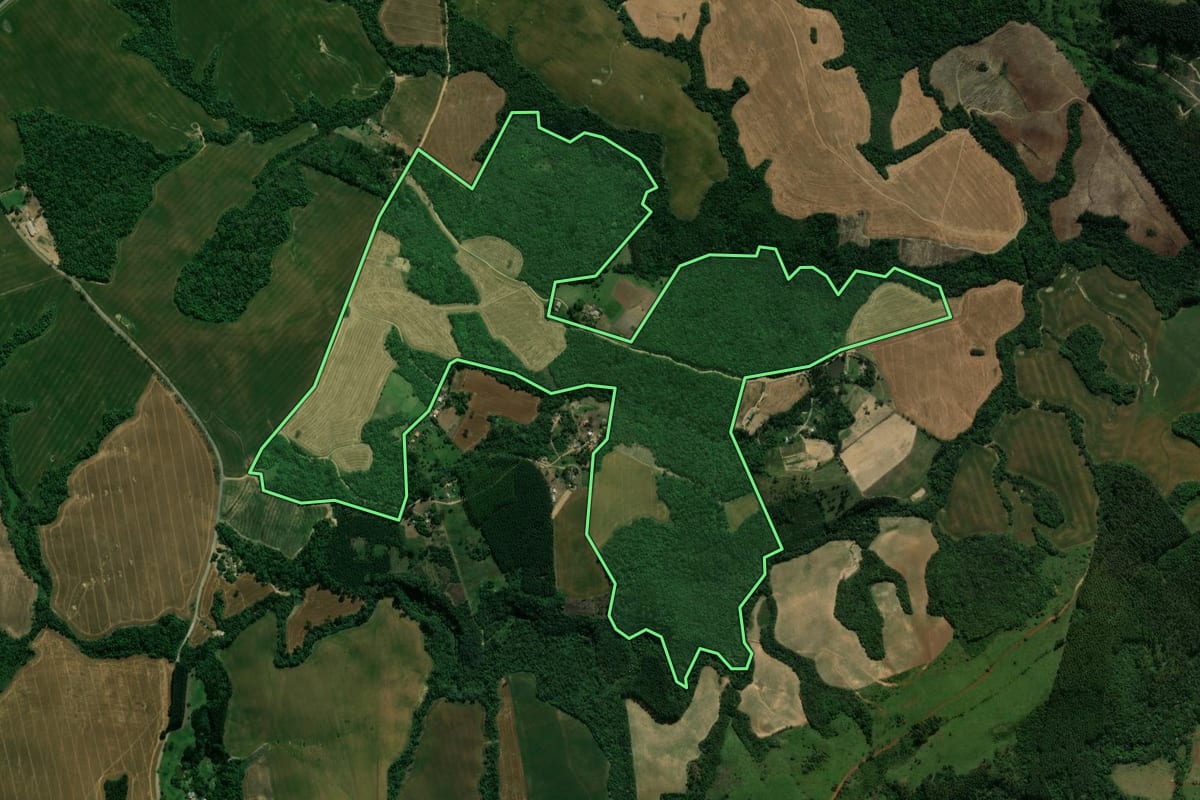 Imagem de satélite do imóvel rural em Reserva (PR), com o contorno declarado no CAR desenhado por cima.