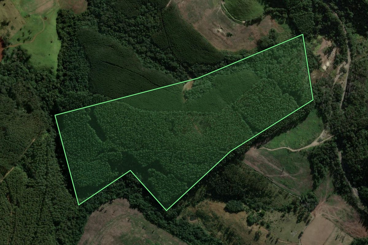 Imagem de satélite do imóvel rural em Reserva (PR), com o contorno declarado no CAR desenhado por cima.