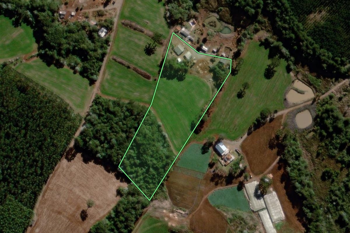 Imagem de satélite do imóvel rural em Reserva (PR), com o contorno declarado no CAR desenhado por cima.