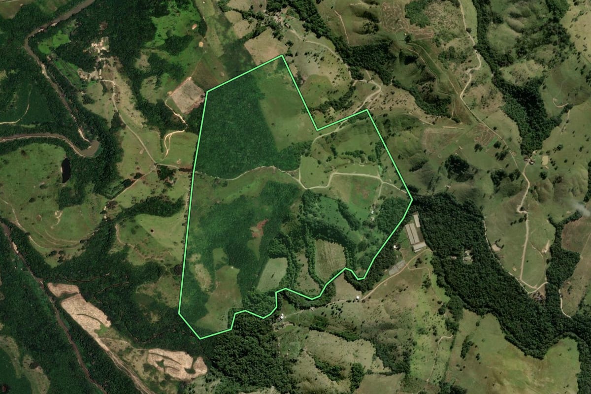 Imagem de satélite do imóvel rural em Reserva (PR), com o contorno declarado no CAR desenhado por cima.