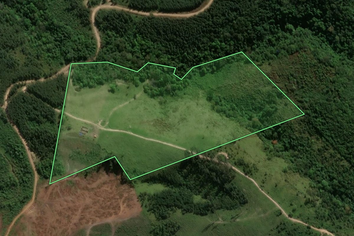 Imagem de satélite do imóvel rural em Reserva (PR), com o contorno declarado no CAR desenhado por cima.