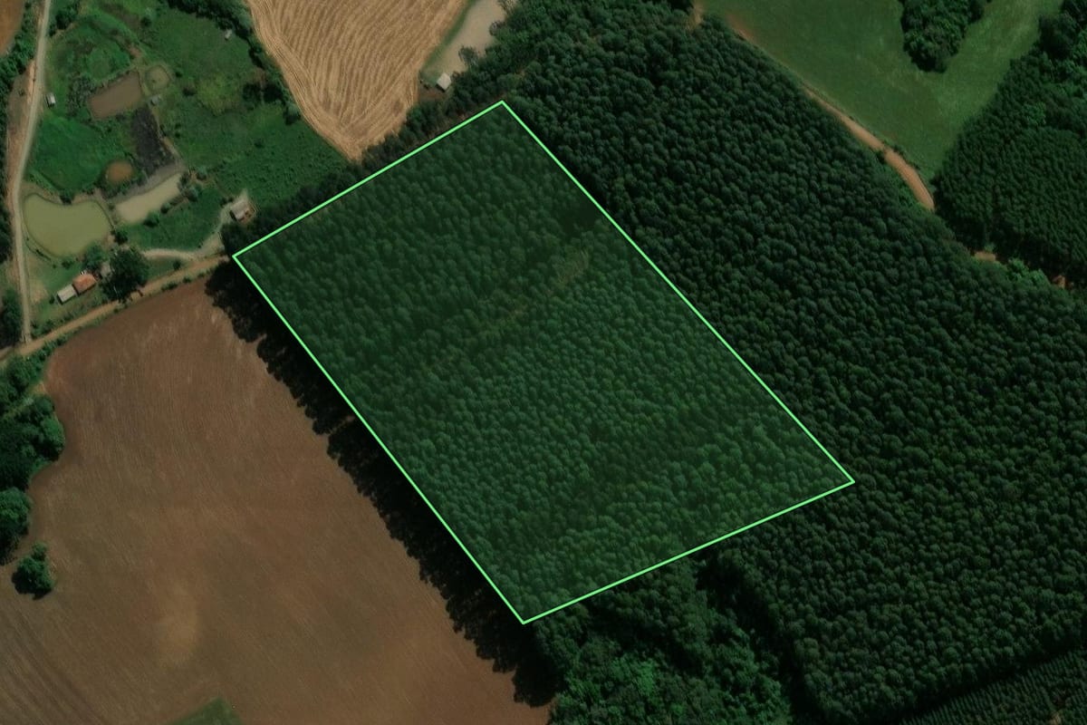 Imagem de satélite do imóvel rural em Reserva (PR), com o contorno declarado no CAR desenhado por cima.