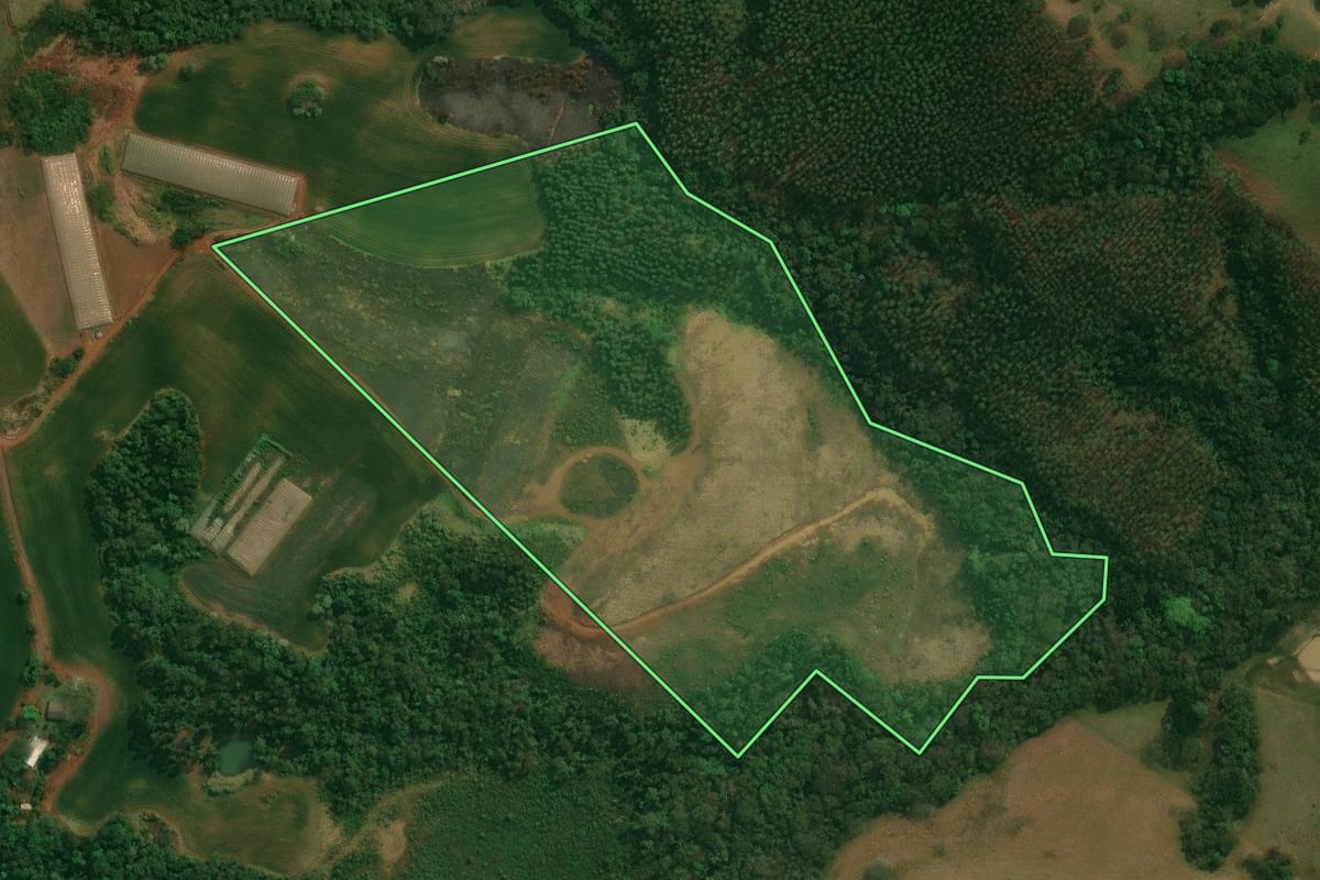 Imagem de satélite do imóvel rural em Reserva (PR), com o contorno declarado no CAR desenhado por cima.