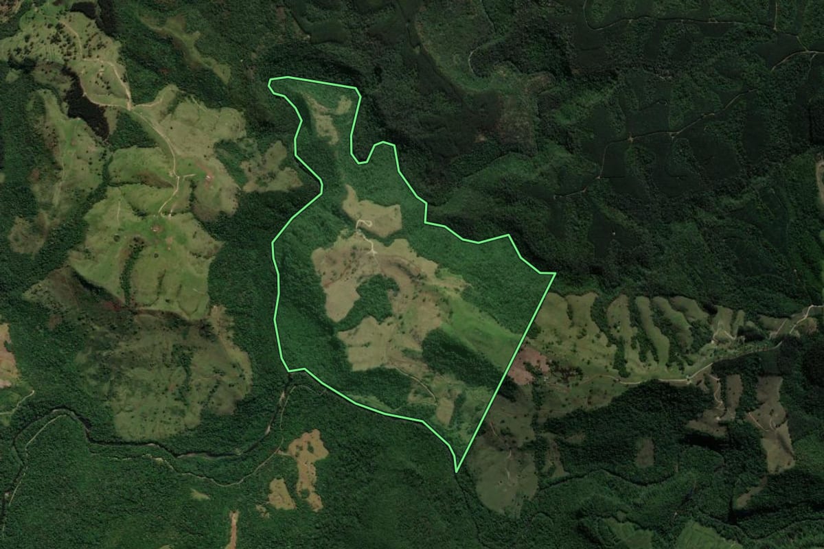 Imagem de satélite do imóvel rural em Reserva (PR), com o contorno declarado no CAR desenhado por cima.