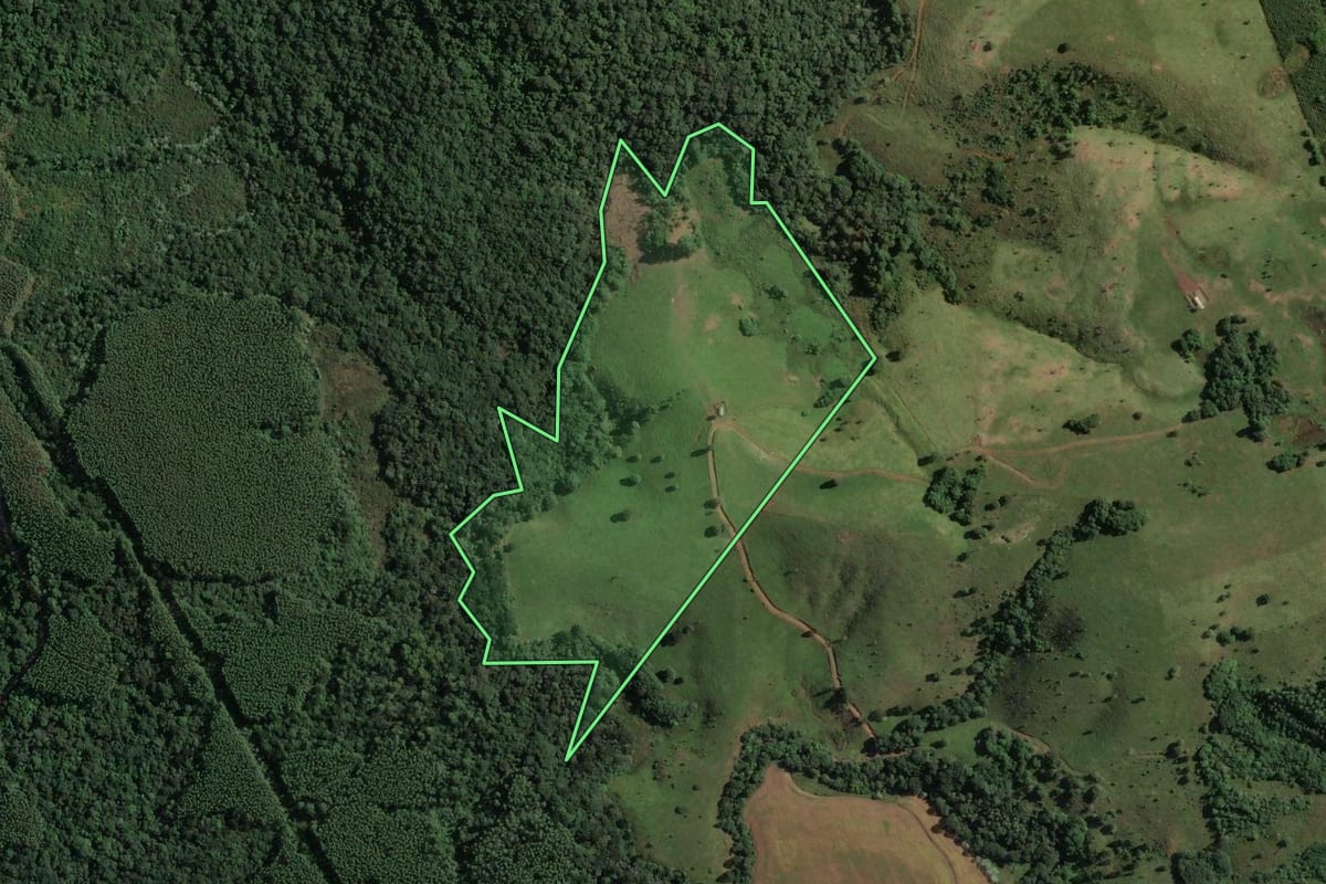 Imagem de satélite do imóvel rural em Reserva (PR), com o contorno declarado no CAR desenhado por cima.