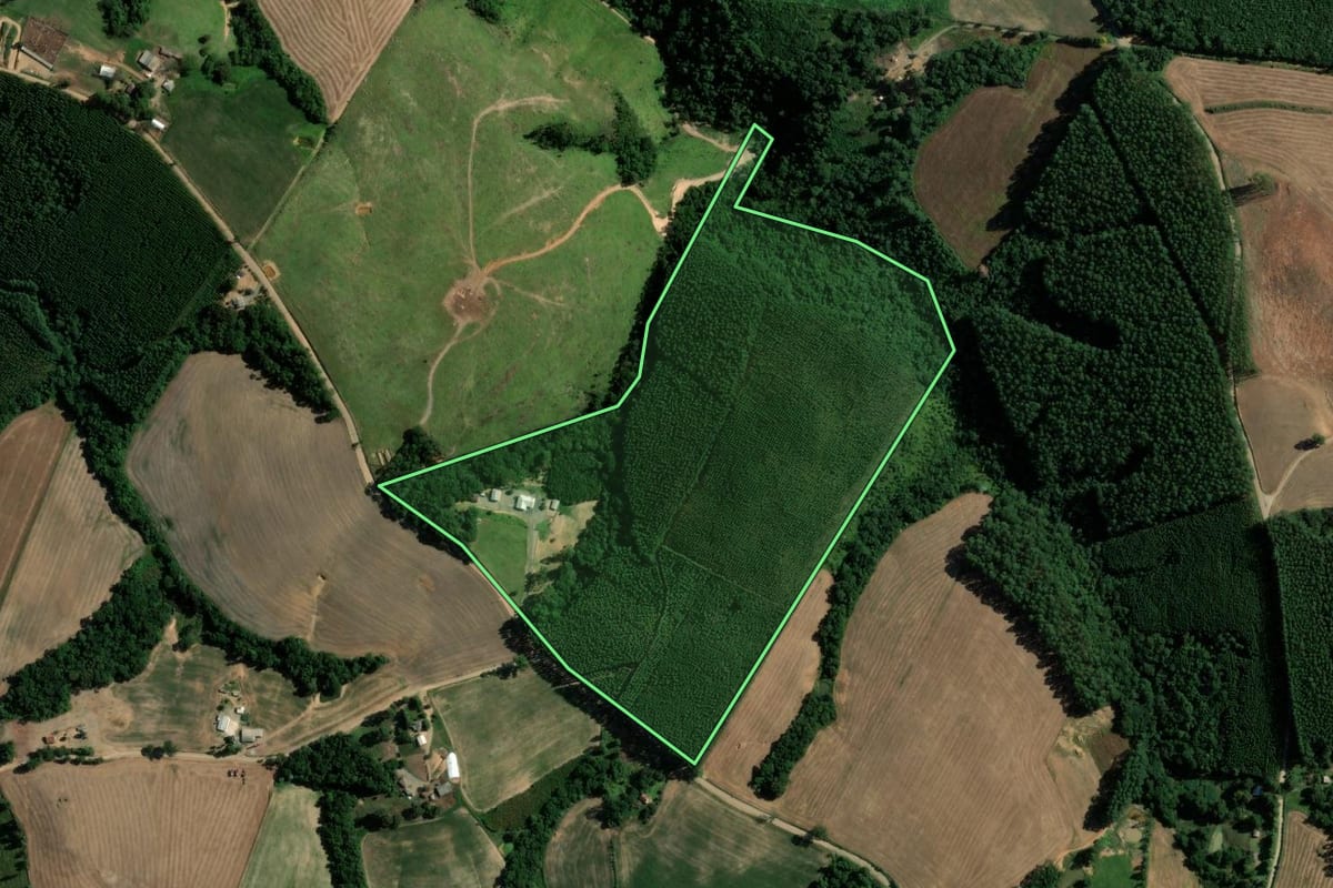 Imagem de satélite do imóvel rural em Reserva (PR), com o contorno declarado no CAR desenhado por cima.