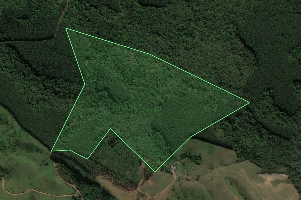 Imagem de satélite do imóvel rural em Reserva (PR), com o contorno declarado no CAR desenhado por cima.