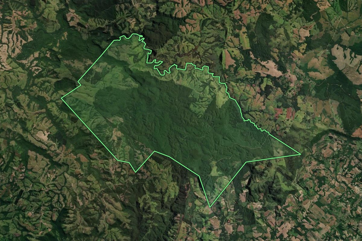 Imagem de satélite do imóvel rural em Reserva (PR), com o contorno declarado no CAR desenhado por cima.
