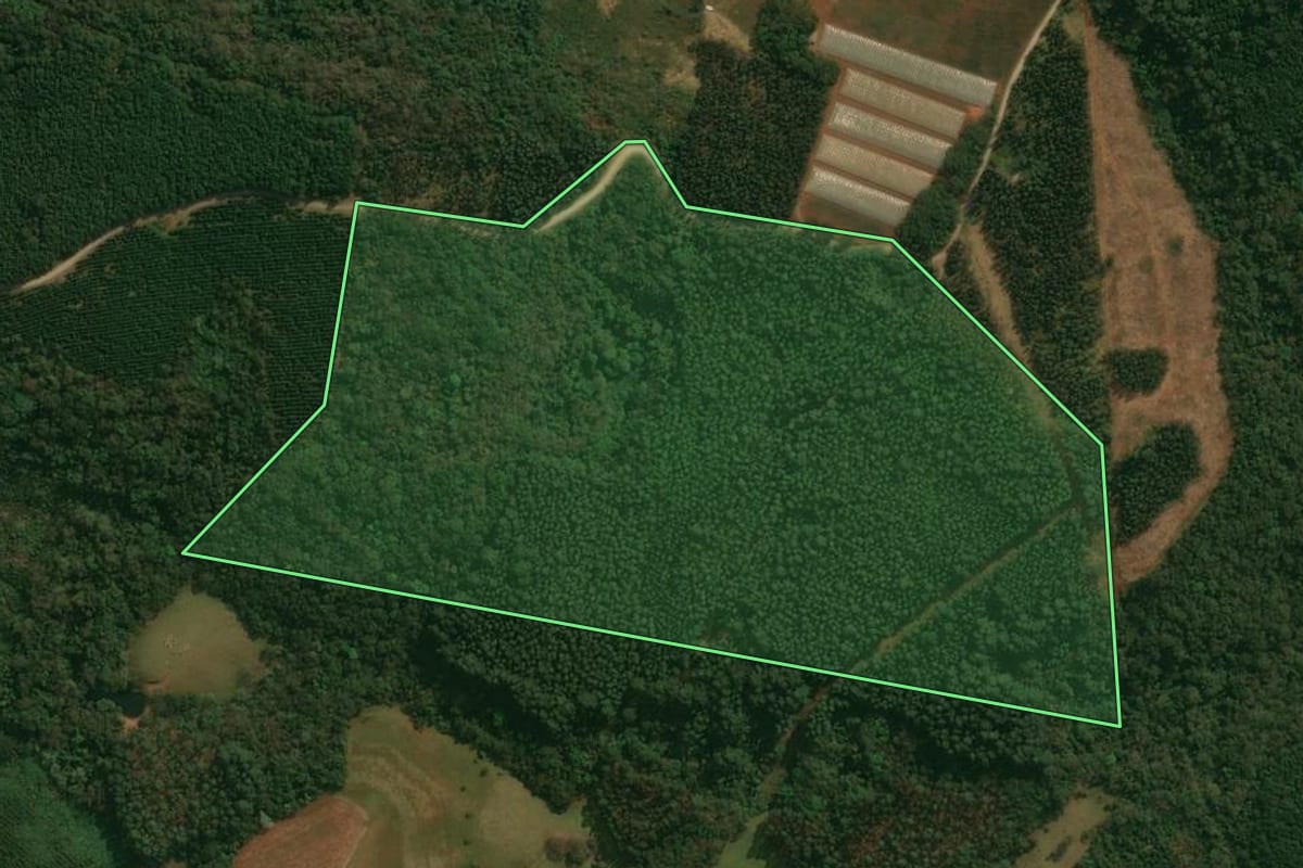 Imagem de satélite do imóvel rural em Reserva (PR), com o contorno declarado no CAR desenhado por cima.