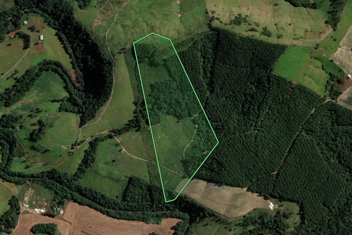 Imagem de satélite do imóvel rural em Reserva (PR), com o contorno declarado no CAR desenhado por cima.