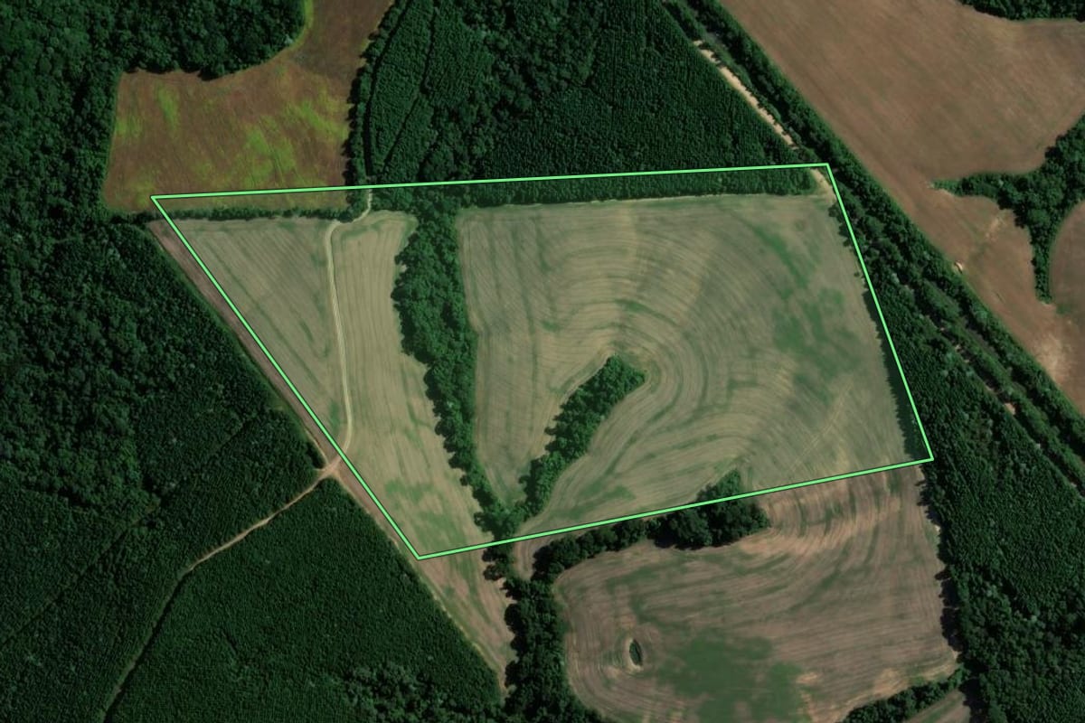 Imagem de satélite do imóvel rural em Reserva (PR), com o contorno declarado no CAR desenhado por cima.