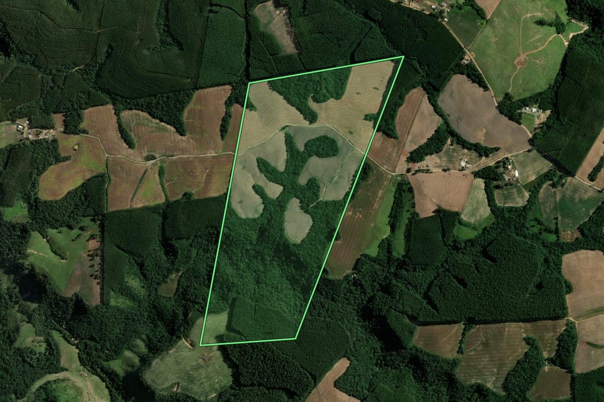 Imagem de satélite do imóvel rural em Reserva (PR), com o contorno declarado no CAR desenhado por cima.