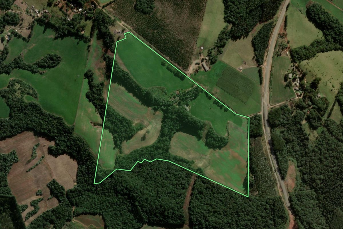 Imagem de satélite do imóvel rural em Reserva (PR), com o contorno declarado no CAR desenhado por cima.