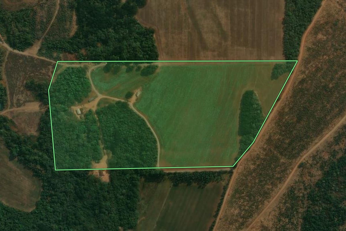 Imagem de satélite do imóvel rural em Reserva (PR), com o contorno declarado no CAR desenhado por cima.