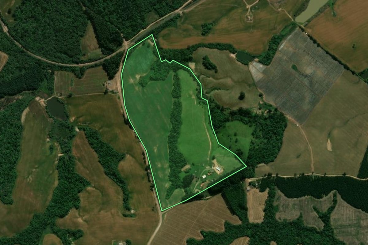 Imagem de satélite do imóvel rural em Reserva (PR), com o contorno declarado no CAR desenhado por cima.